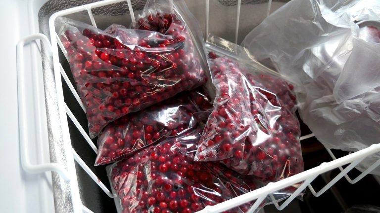 Wnętrze zamrażarki skrzyniowej z drucianym koszem i zamrożonymi owocami w woreczkach